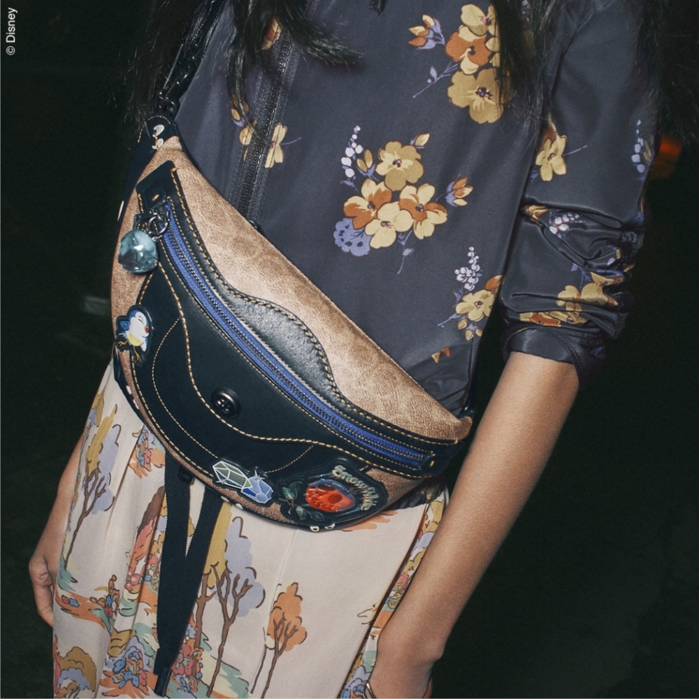 DISNEY × COACH "Snow White"🍎 fanny pack/handbag - Picture 3 of 10